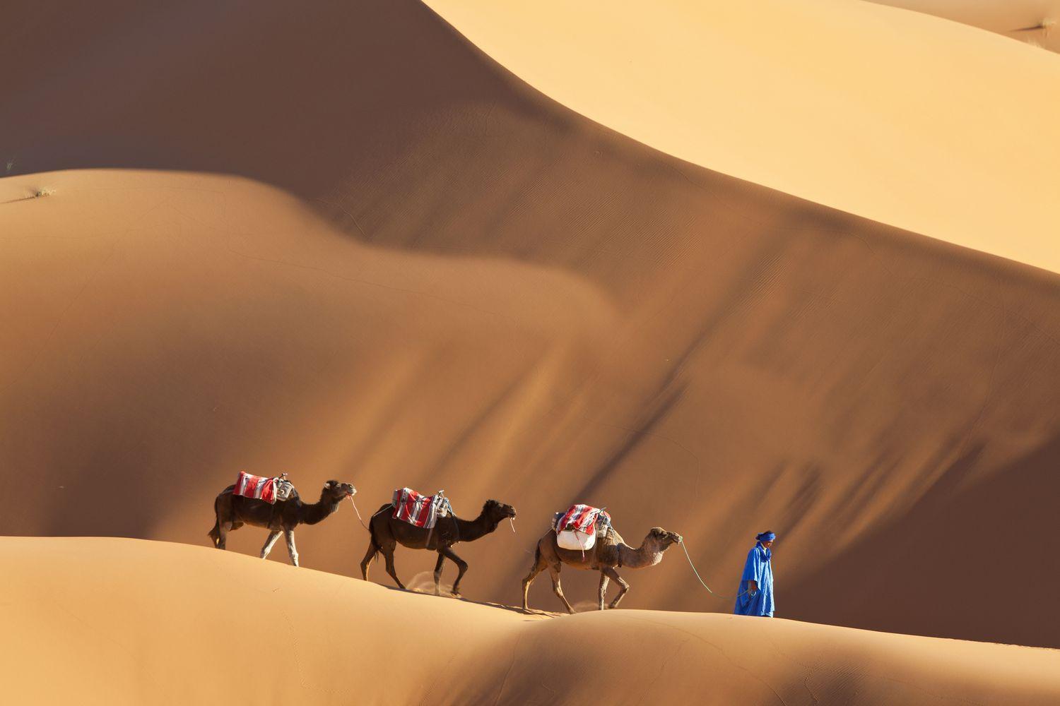 Merzouga Luxury Traditional Camp المظهر الخارجي الصورة